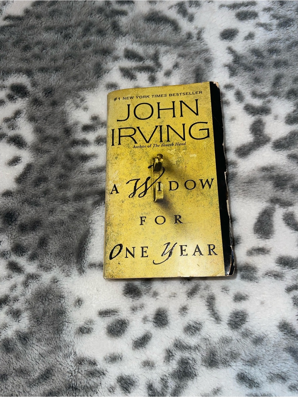 John Irving paperback book